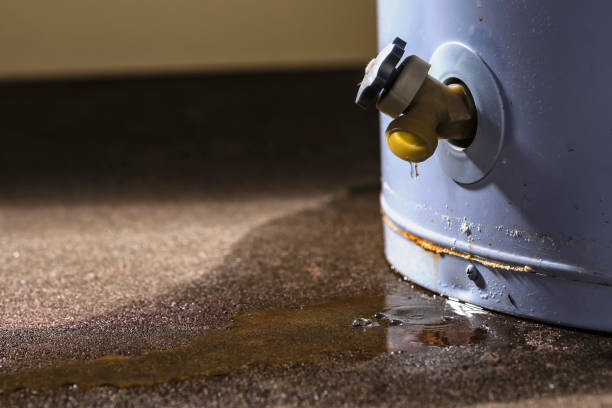 Best Water damage restoration near me  in Monroeville, PA