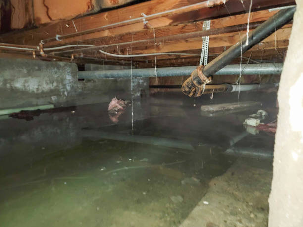 Best Fire Damage Restoration  in Monroeville, PA