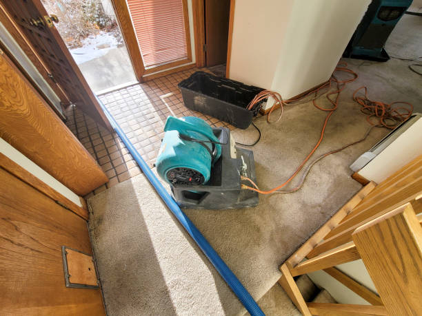 Carpet water damage restoration in Monroeville, PA