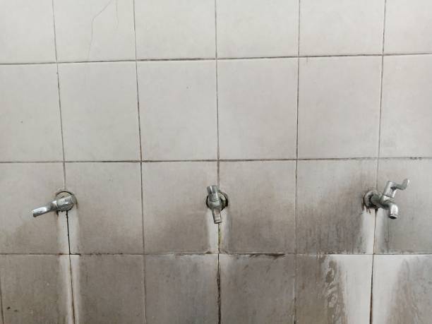 Best Water damage restoration near me  in Monroeville, PA