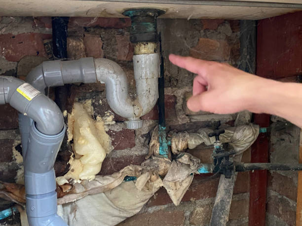 Best Carpet water damage restoration  in Monroeville, PA