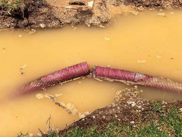 Best Professional water damage repair  in Monroeville, PA